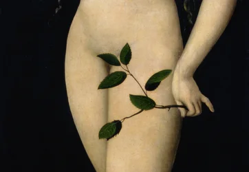 Eva, 1528 (dettaglio)